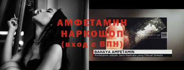 молекула духа Алексеевка