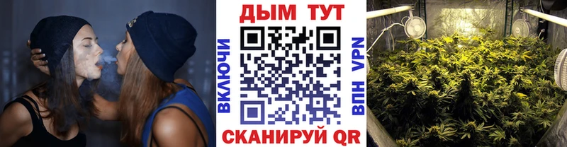 хочу Ак-Довурак Бошки Шишки семена